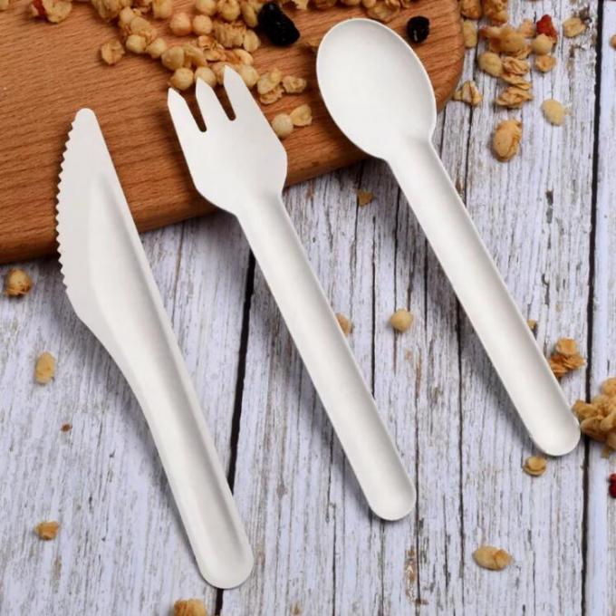 Disposable Paper Biodegradable Cutlery Spoon Durable 160mm For Catering 0