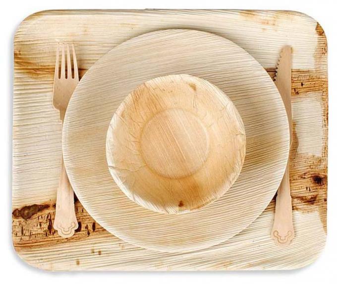 9x6" Compostable Palm Leaf Disposable Plates , Rectangle Biodegradable Leaf Plates 0