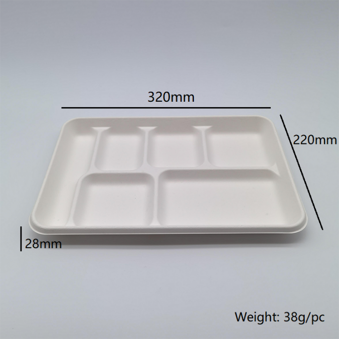 6 Compartment Disposable Plates Biodegradable Divided Rectangle Tray 0